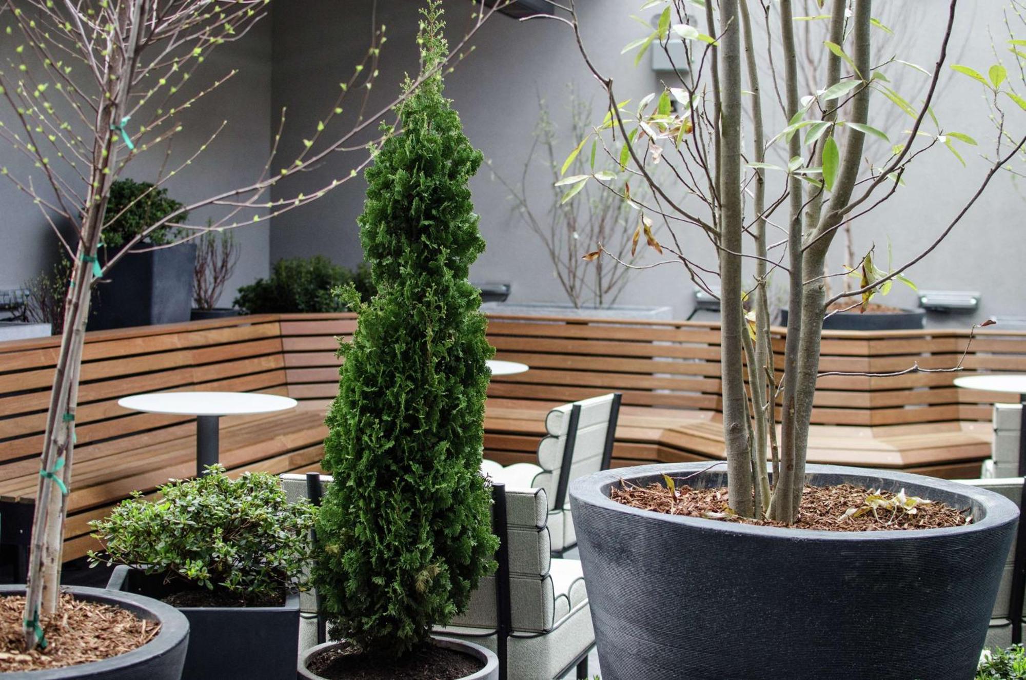 Freepoint Cambridge, Tapestry Collection By Hilton 4* Cambridge